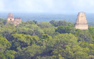 Tikal dans la jungle du Peten