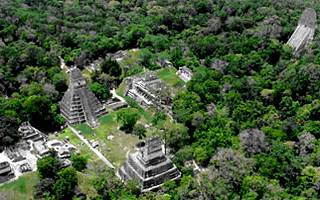 Tikal