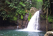Le Parc National de Guadeloupe