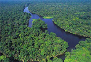 Tortuguero