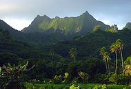 Rarotonga