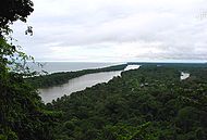 Tortuguero