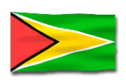 Bandera guyanesa