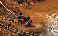 Orpailleurs au Suriname