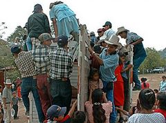 Transport en camion au Honduras