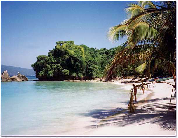 surinam plage - Image