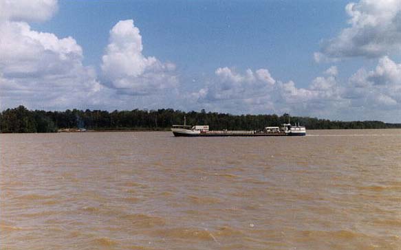 guyana guyana