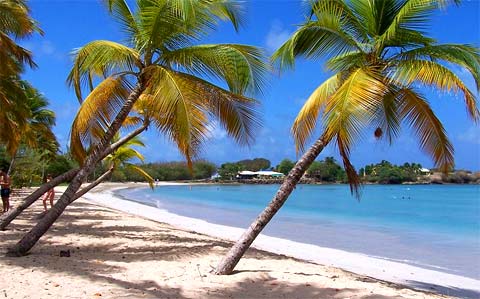 Plage de Salines - Martinique