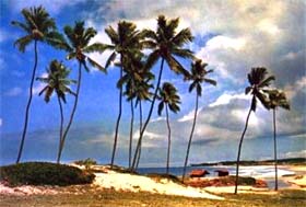 Praia de Itapuan à Salvador