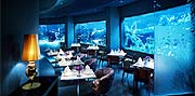 Restaurant Aquamarine