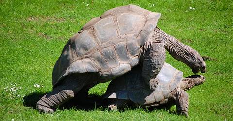 galapagos tourisme