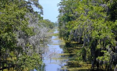 louisiane tourisme - Image