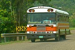 Bus  Dangriga