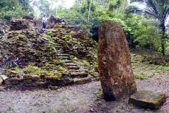Ruines Mayas de La Milpa