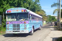 Bus  Placencia