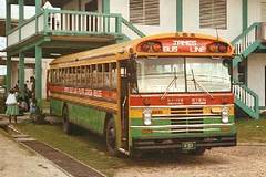 Bus  Punta Gorda