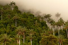 Parc National de Cutervo