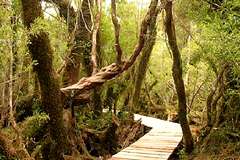 Parc National Chiloé