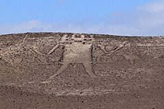 Gant d'Atacama