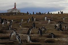 Parc National Isla Magdalena