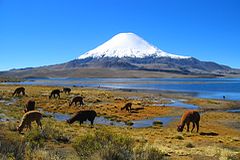 Parc National Lauca