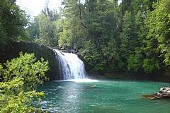 Parc National Puyehue