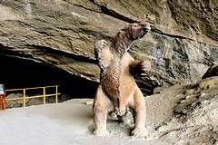 Grotte du Mylodon