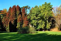 Jardin Botanique