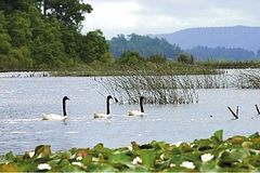 Sanctuaire de la Nature Carlos Anwandter