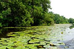 Parc Naturel Isla de Salamanca