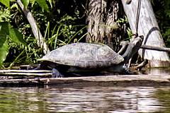 Parc National Cahuinar