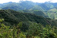 Parc national de Munchique