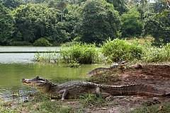 La Laguna Big Pond