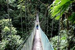 Ponts suspendus du Parc du Volcan Arenal
