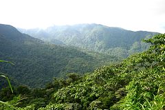 Parc National Braulio Carrillo