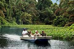 Canaux de Tortuguero