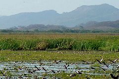 Parc National Palo Verde