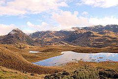 Parc National El Cajas