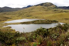 Parc National Llanganates