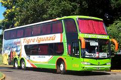Expreso Tigre Iguazu