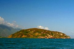 Île de la Tortue