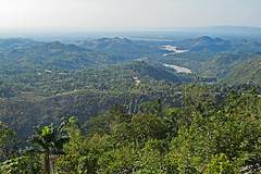 Macaya