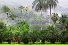 Jardin Botanique Lancetilla