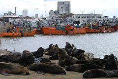 Le Port de Mar del Plata