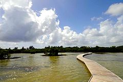 Sainte-Anne - Etang des Salines