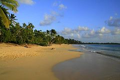 Sainte-Anne - Plage des Salines