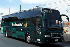 Bus Estrella de Oro