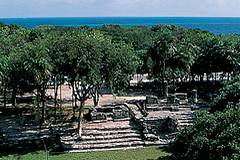 El Meco