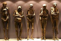 Musée des Momies de Guanajuato
