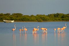 Laguna Rosada